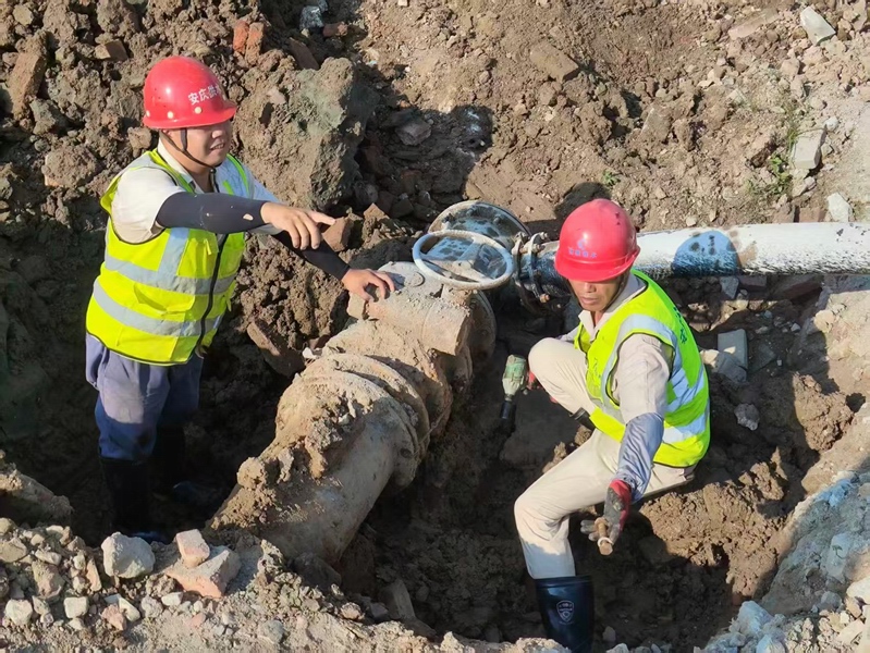 1765933857231769.jpg 6bbfb3af53d8c7bafb26d95cdfea4f63_1760080455170642.jpg